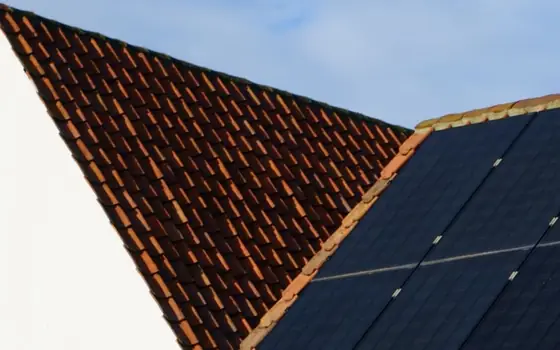 Earth Day: Eco-Friendly Improvements That Boost Your Home Value