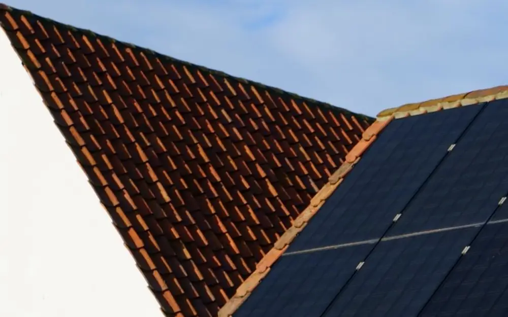 Earth Day: Eco-Friendly Improvements That Boost Your Home Value